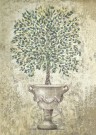 Tuscan Olive thumbnail
