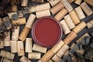 Dixie Belle Mineral Kalkmaling Muscadine Wine thumbnail