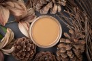 Dixie Belle Mineral Kalkmaling Pine Cone thumbnail