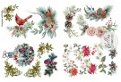 Evergreen And Holly Transfer thumbnail