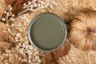 Juniper 16oz - kalkmaling thumbnail
