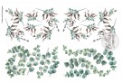 Cotton & Eucalyptus Transfer thumbnail