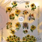 Sunflowers Transfer thumbnail