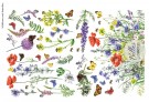 Wildflowers And Butterflies thumbnail