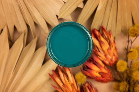 Silk Oasis