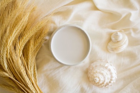 Silk Oyster