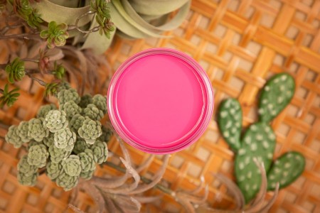 Silk Prickly Pear